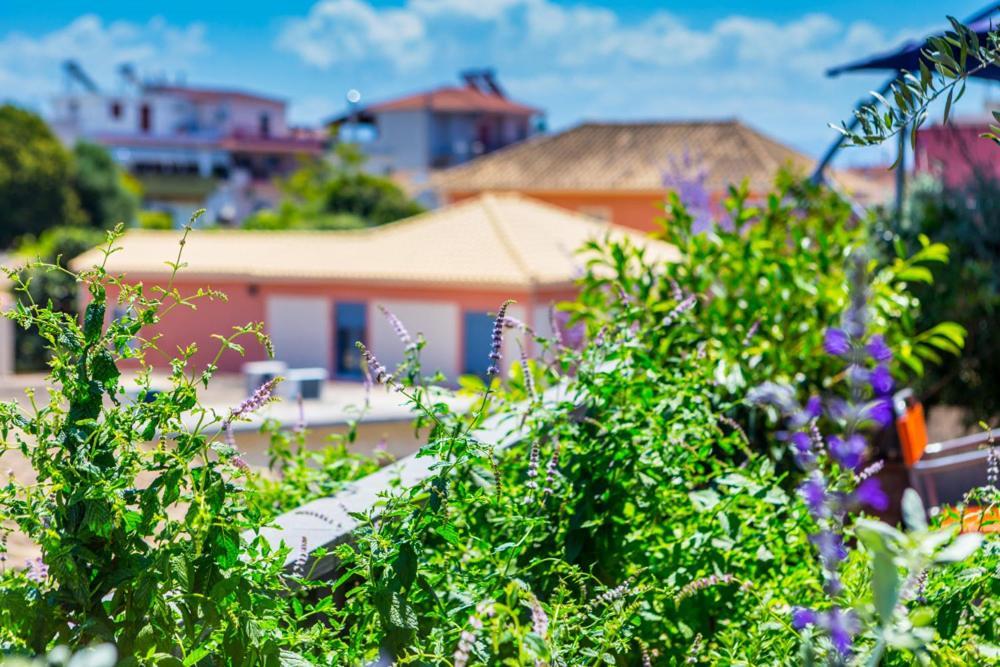 Koukounari Living Spaces Preveza Ngoại thất bức ảnh